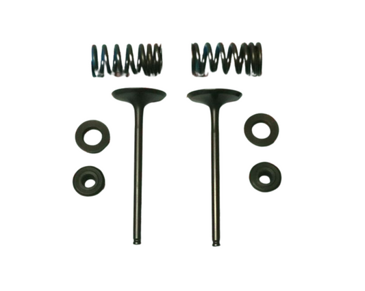 INTAKE Steel Valves & Springs Kit CRF 250 R 04-09 CRF 250 X 04-16 CRF250